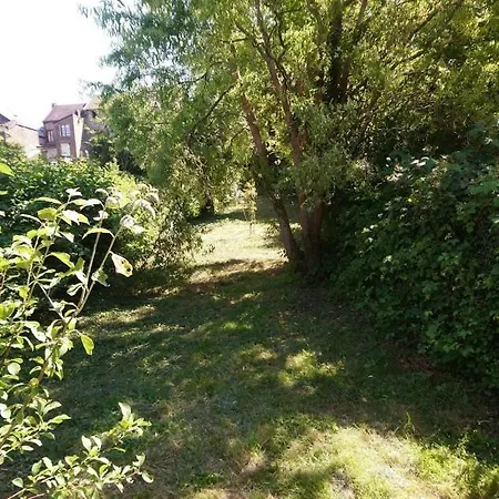 Cour Et Jardin Vila Revin Exterior foto